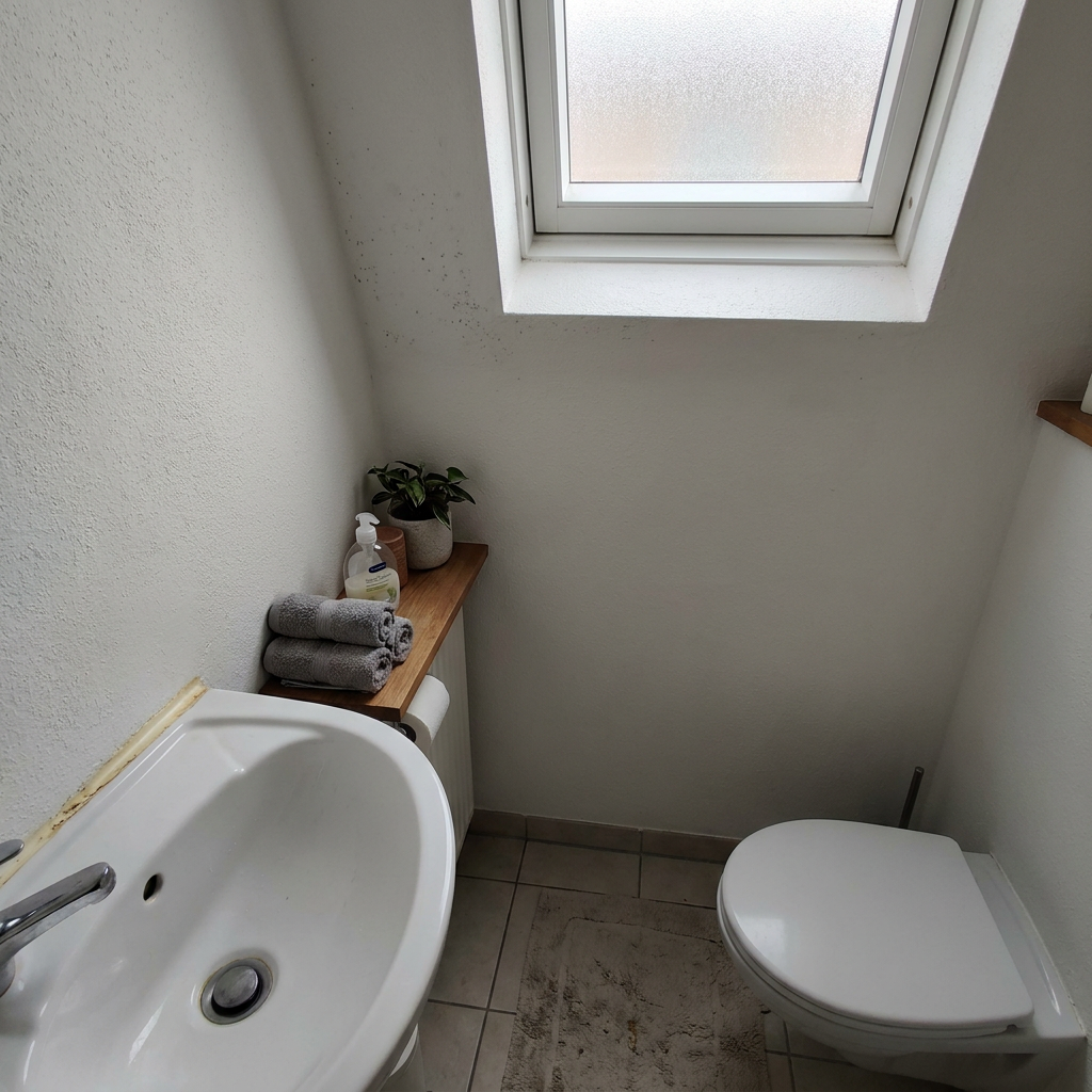 Kleine moderne toiletruimte met zwarte schimmelplekjes op wit plafond en verkleurde kit, vastgelegd in zacht daglicht met een realistische sfeer.